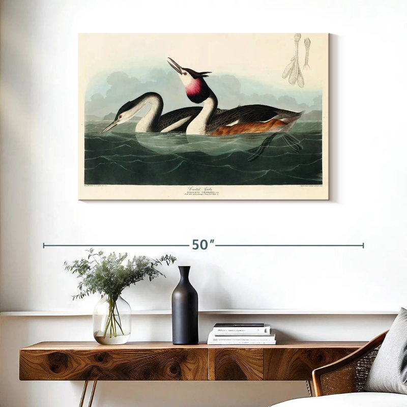 Brampt Crested Grebe, 26" H x 39" W