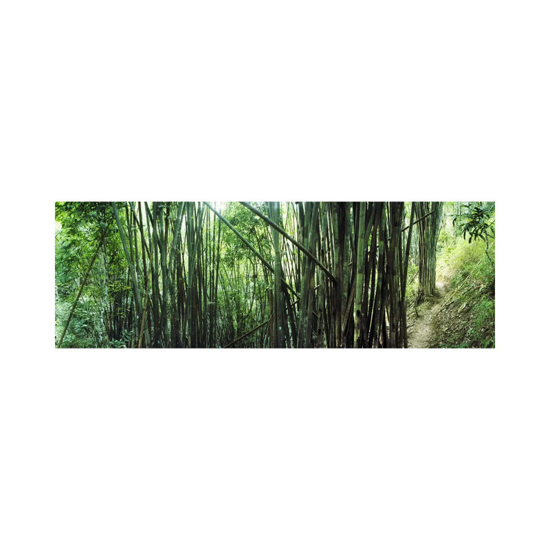 Bamboo Forest, Chiang Mai, Thailand #3 - Wrapped Canvas Panoramic Print, 121.92 cm H x 40.64 cm W x 1.91 cm D