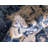 Edelsten Oriental Indoor Rug-1579716065