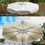 Parasol de table d'extérieur-157552466