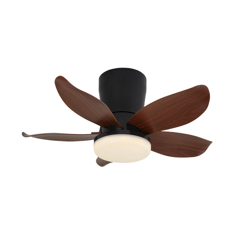 Ceiling Fan with LED Lights, Brown Wood