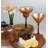 Tuscan Sunset 9 oz. Martini Glass