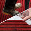 Hidevale Striped Rug-939272182