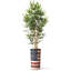 Arbre artificiel en pot de soie artificiel en bambou contemporain-128767472