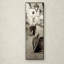 Alan Blaustein Modern & Contemporary-21030253