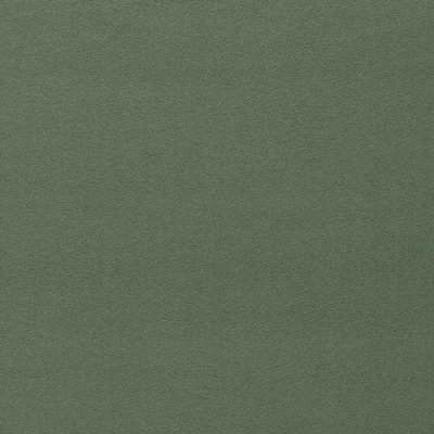 Wardle Velvet Fabric