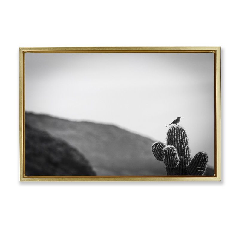Toile flottante encadrée «On Guard Bird & Cactus» par Wild Apple, Doré, H 21 po x l 31 po