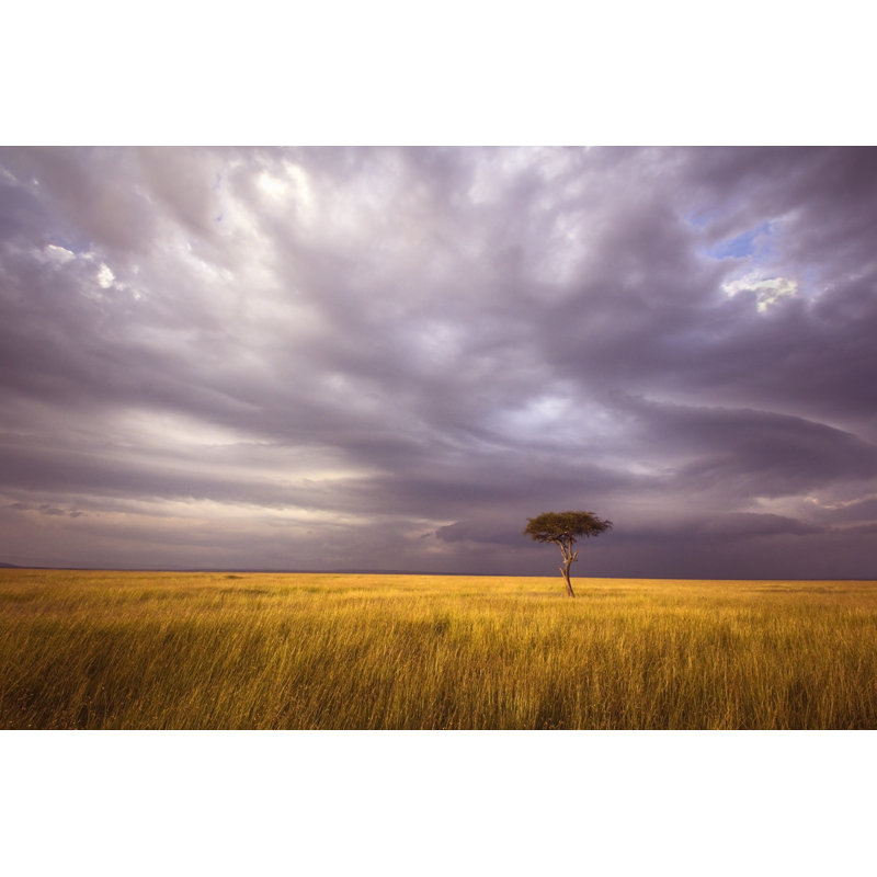 Africa Landscape by WLDavies - No Frame Print on Canvas, 20cm H x 30cm W