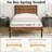 Alicia Steel Piece Bedroom Set-2032754336-2032669734