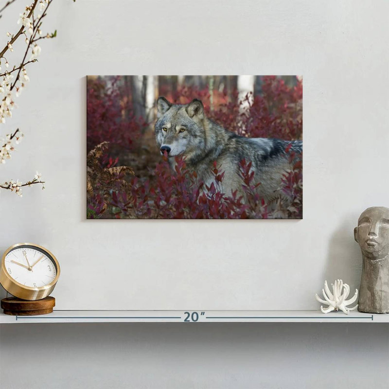 Brampt Gray Timber Wolf, 8" H x 12" W
