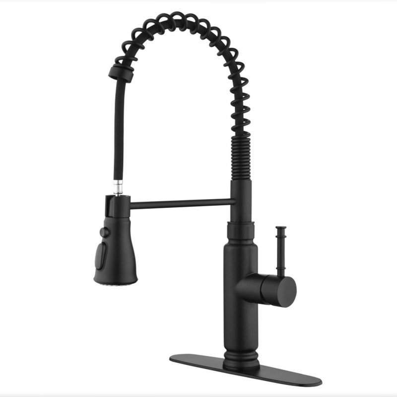 Casa Eclat Pull Down Kitchen Faucet, Matte Black
