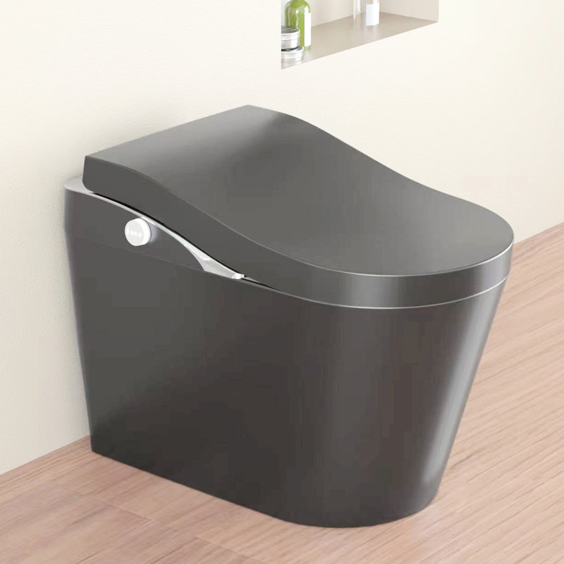 Smart Modern Bidet Toilet With Auto Flush, Foot Sensor, Heated Seat, Warm Air Dryer, Foam Technology, And Adjustable Nozzle Positions - Matte Grey, Siphonic Jet Flushing Bidet, Dry, , Water