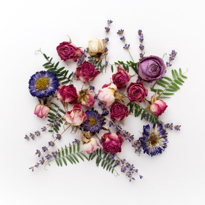 " Dried Flowers " by Nambitomo