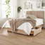 Iroh Coilsprung Divan Bed Set-1353216406-1353216400-1353216407