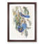 Florida Jay by John Audubon - Framed Print-55576183-55576185