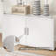 Display Cabinet-1031416564