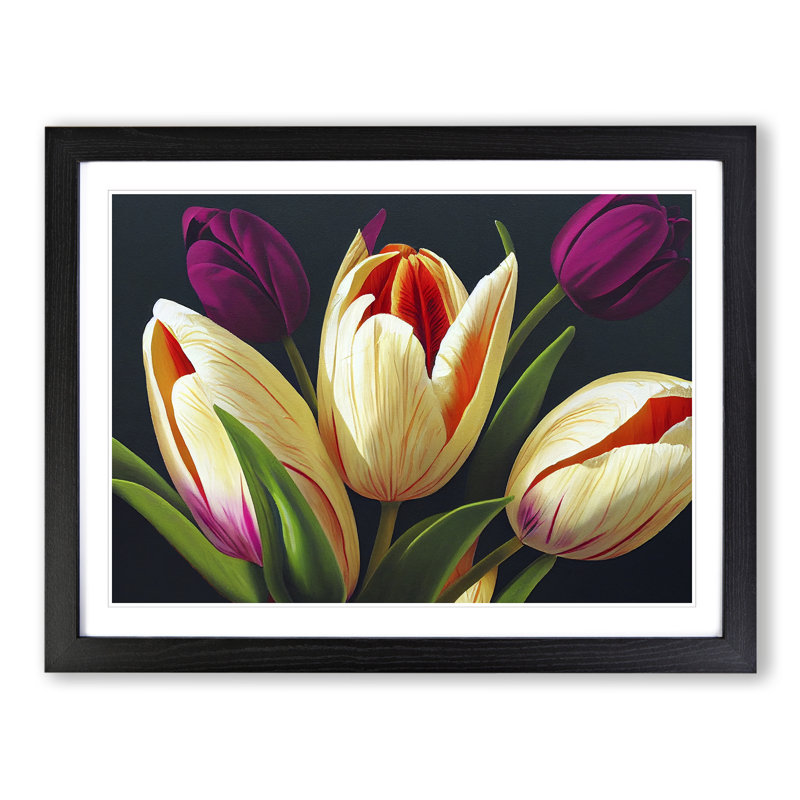 Favourable Tulip Flowers - Single Picture Frame Print, Black, 46cm H x 64cm W x 2cm D