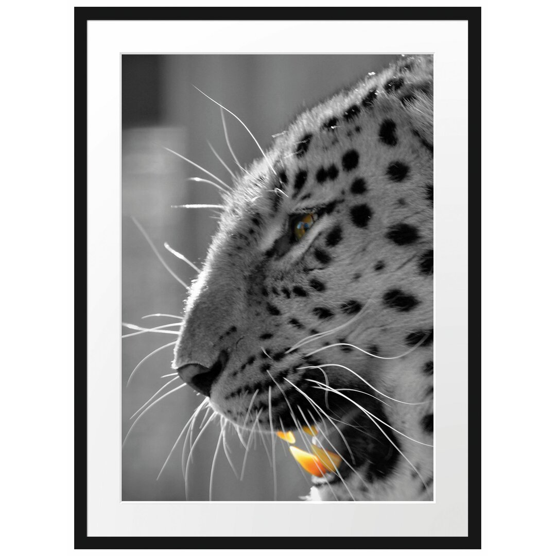 Gerahmtes Poster Brüllender Leopard