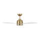44'' Ceiling Fan with LED Light Kit