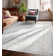 Espy Beirut Vintage Oriental Area Rug