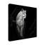 Art sur toile «Lion» Christian Meermann-93222004