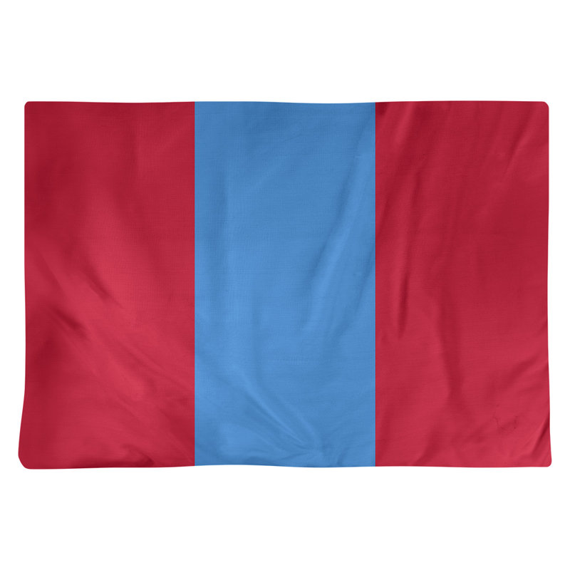 Récapitulatif 18" à rayures de football Houston, Rouge / Bleu