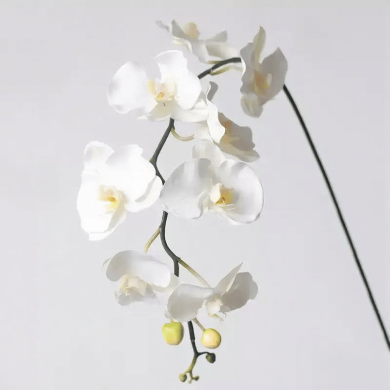 Tige d'orchidée Phalaenopsis Real Touch, [B] 3 Stems, Small