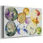 Toile tendue Gumball-Gallery-1817460422
