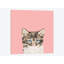 Chat, impression sur toile tendue-19741882-74757278-74757279