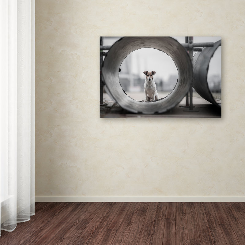 « my name is bond », reproduction de photo sur toile tendue, H 30 po x l 47 po