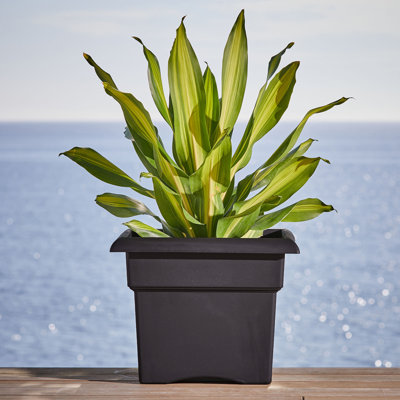 Reiner Traditional Plastic Square Indoor/Outdoor Deck Box Planter