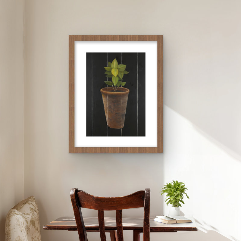 Plant of Bay Leaves - Hygge Kitchen