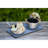 Cruda Aluminum Non-Stick Frying Pan