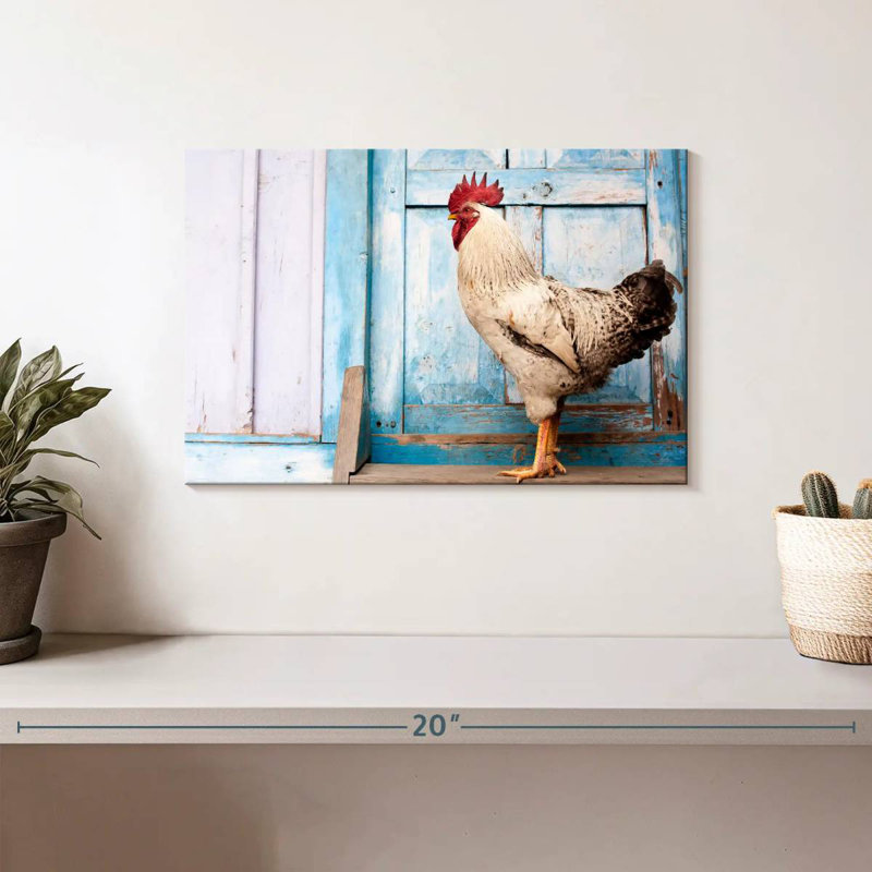 Coq domestique Crowle, H 8 po x l 12 po