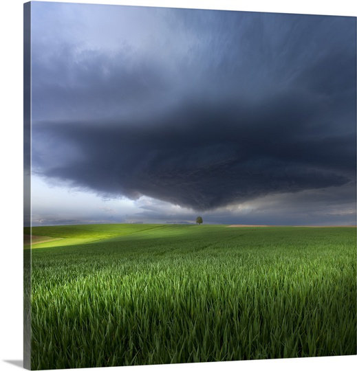 Straub 'Thunderstorm Cell Over the Alb Plateau' by Franz Schumacher Photographic Print The Twillery Co.® 