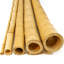 Poteaux de jardin en bambou naturel pour clôture-9705525-14502013