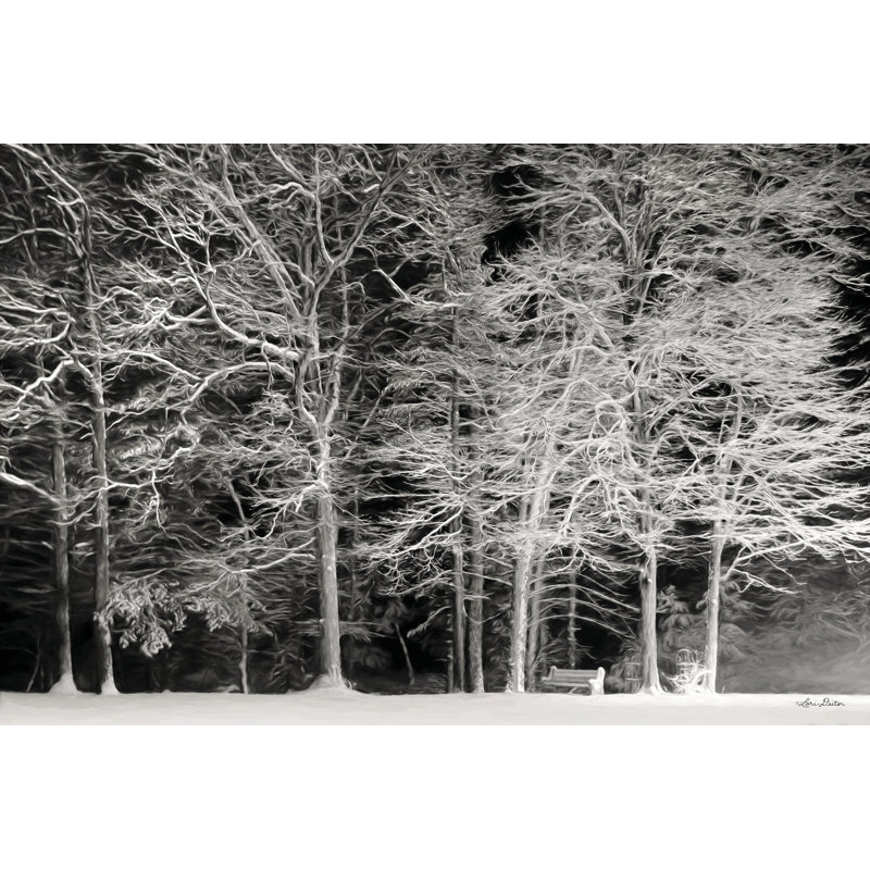 Snowy Trees - Art textuel, Papier avec cadre photo noyer, Non, H 20 po x l 30 po
