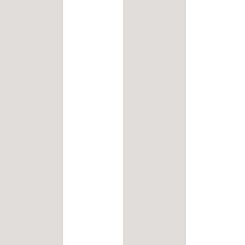 Nerijus Little Explorers 2 Wide Stripe Wallpaper Roll, Silver