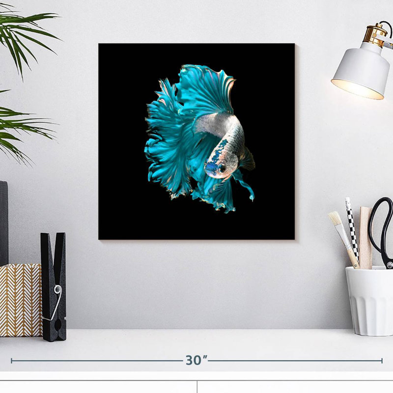 Brampt Plush Fighter Fish, 16" H x 16" W