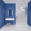 Halberd Series 60'' - 60'' W x 72'' H Single Added Framed Shower Door with Clear Glass-49718880