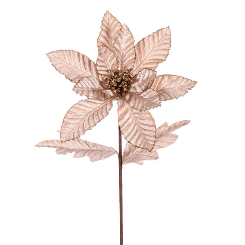 Tissu avec tige de poinsettia, Champagne