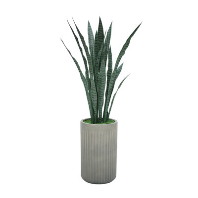 51 po Sansevieria en céramique gris ciment