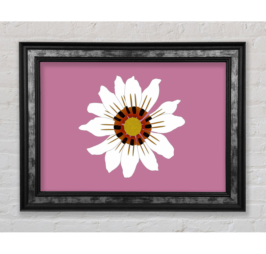 White Daisy Pinks - Druck