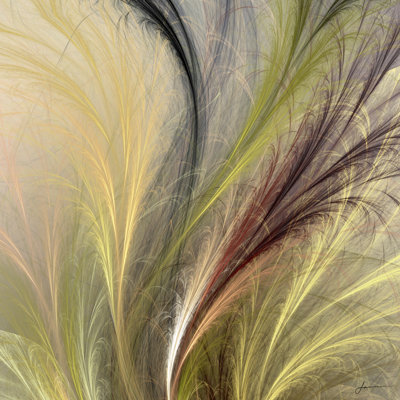 Fountain Grass I by James Burghardt - Wrapped Canvas Print