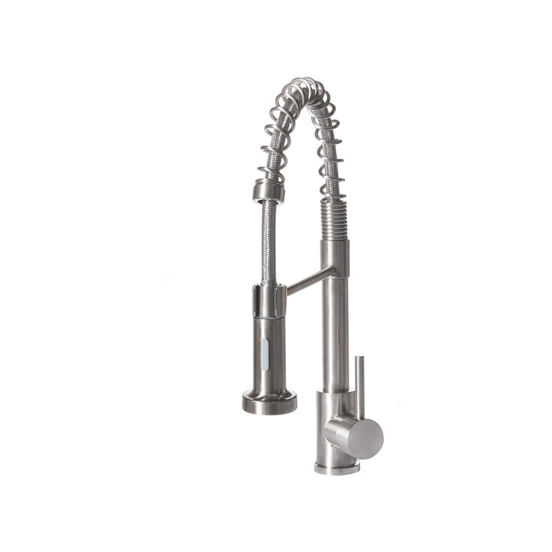 Belfry Kitchen Kitchen Faucet, Brushed Nickel/Polished Chrome