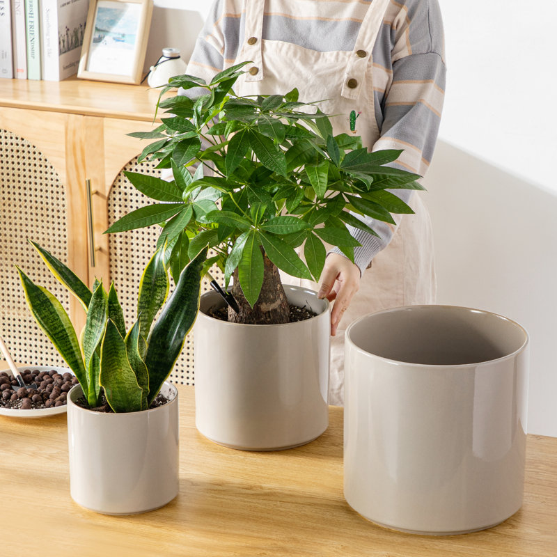 Ceramic Pot Planter