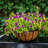 Tingsley Metal Hanging Planter-1130543857-1130543856