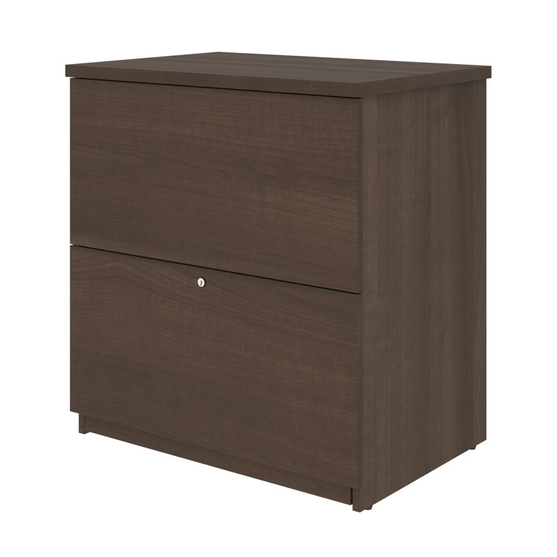 Pasiak 28.4'' Wide 2 -Drawer File Cabinet, Deep Gray