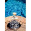 Set of 6 Tryst Coupe Glassses