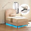 Bed Frame with Velvet Headboard, Smart Adjustable LED Light, Metal Ottoman Bed Frame With Wooden Slat Support, Gas Lift Under Bed Storage-248351408-248351409